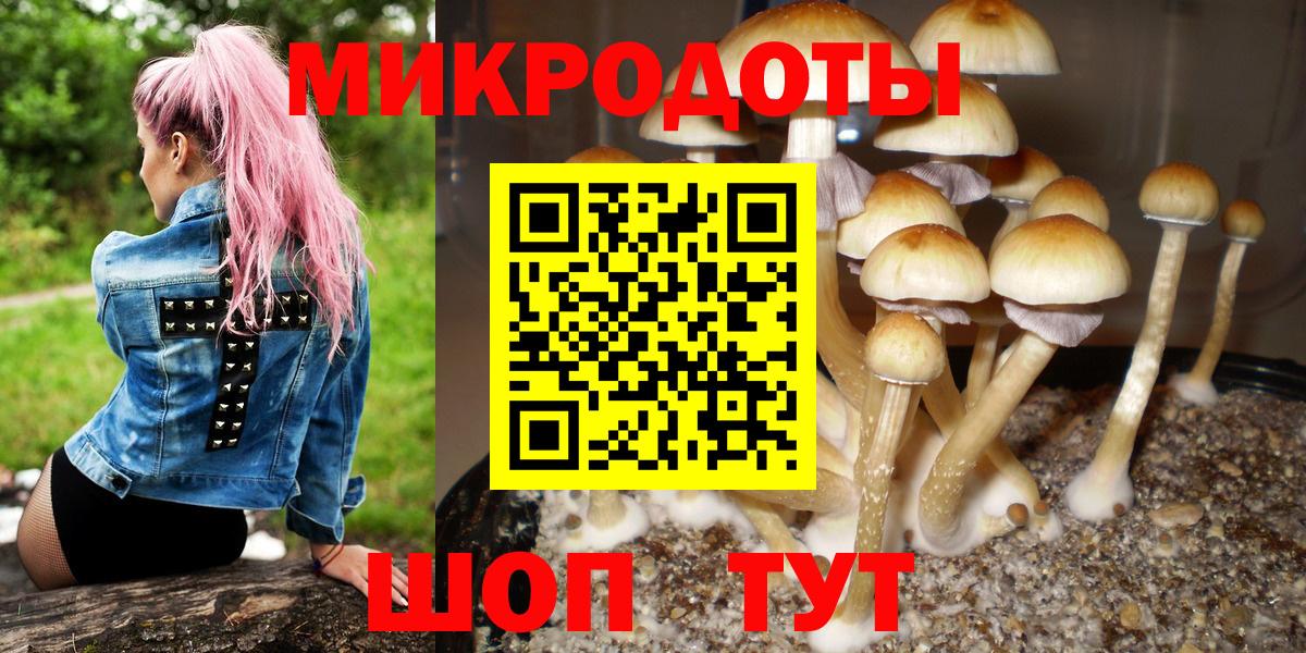 Галлюциногенные грибы мицелий Протвино