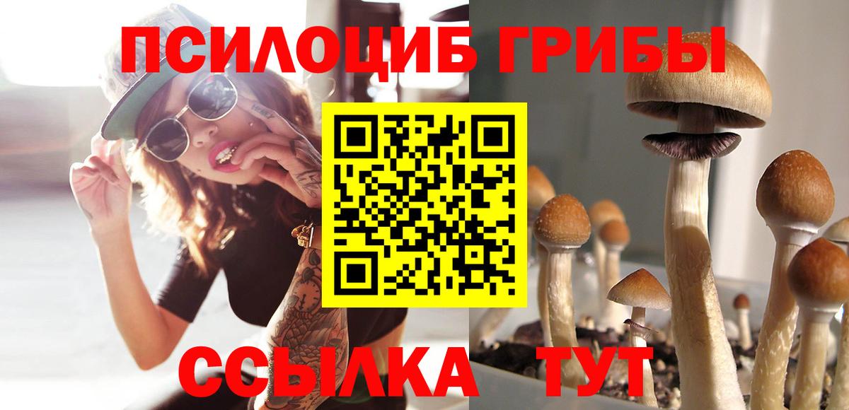 Галлюциногенные грибы Magic Shrooms  Вход с VPN  Протвино 
